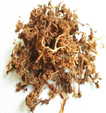 花菜干脱水蔬菜干菜散装干花椰菜250g 花椰菜农家特产厂家直批图2