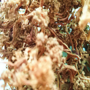 花菜干脱水蔬菜干菜散装干花椰菜250g 花椰菜农家特产厂家直批图3