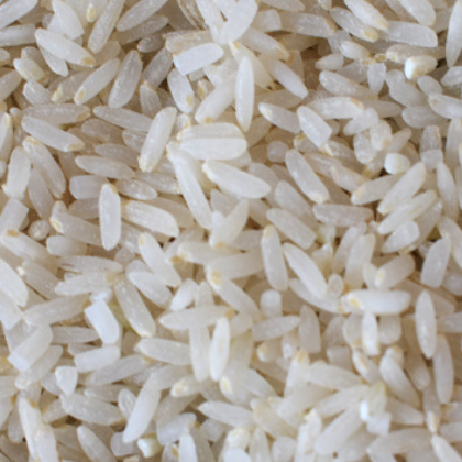 大米胚芽米1kg宝宝粥米婴儿童辅食大米新米晚粳米厂家直销批发图2