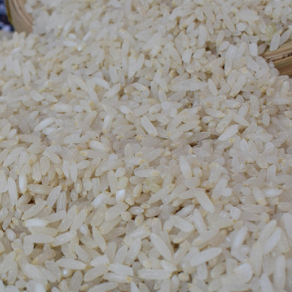 大米胚芽米1kg宝宝粥米婴儿童辅食大米新米晚粳米厂家直销批发图3