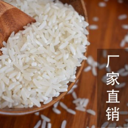 初味米晚籼大米长粒大米 长粒香大米 粳米农家新米5KG/袋厂家直销图2