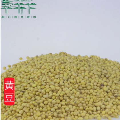 批发精选大豆原产地供应黄豆 豆浆原料专用五谷杂粮袋装图2