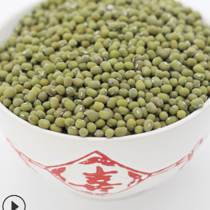 厂家直销农家自产毛绿豆五谷杂粮煮粥熬汤磨粉原料粒大饱满绿豆图3