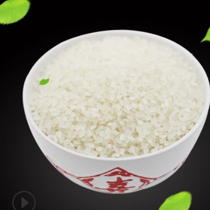 山东大米新品厂家批发特产5kg真空包装有机大米产地直销