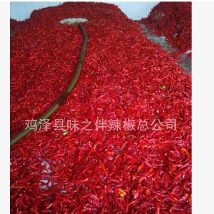 供应辣椒系列产品(图)图3