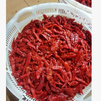 供应盐渍辣椒 腌渍辣椒 剁辣椒 辣椒酱图3
