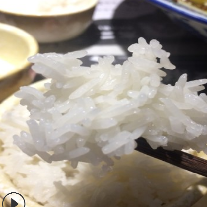 泰国兰花香米 大米 香米 钻食品米 可贴牌 包工包料 一件代发图2