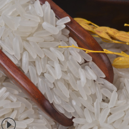 泰国兰花香米 大米 香米 钻食品米 可贴牌 包工包料 一件代发图3
