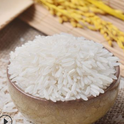 广西瑶家乐美香粘米2斤 晚稻新米 香米 长粒米钻达食品可贴牌
