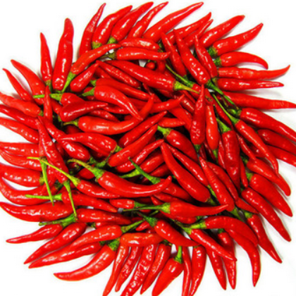新一代红色朝天椒种子 适合大面积种植辣椒种子 四季播 蔬菜