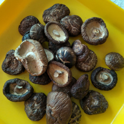 斌沐凡 厂家批发2019新货干货食用菌小香菇干货 福建农产品干货图3
