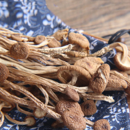 腾盛食品 茶树菇干制食用菌贴牌代加工一件代发未开伞茶树菇