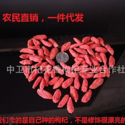 宁夏宁杞7号225枸杞贡果绿色健康好食材颗粒大合适嚼着吃 断货图3