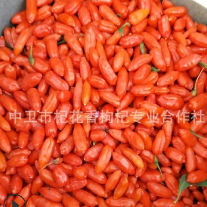宁杞1号特优级枸杞无农药残留天然晾晒煲汤首选好食材一件代发图2