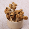 厂家产地直销批发食用菌蘑菇 天然无污染干滑子菇