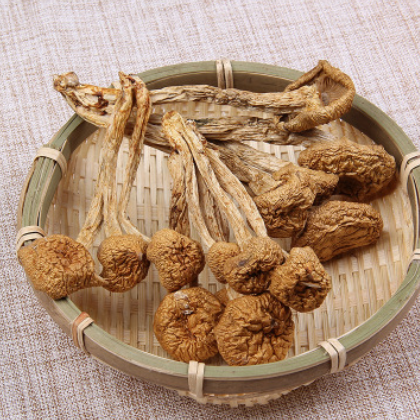 厂家产地直销批发食用菌蘑菇 天然无污染干滑子菇图2