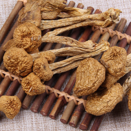 厂家产地直销批发食用菌蘑菇 天然无污染干滑子菇图3