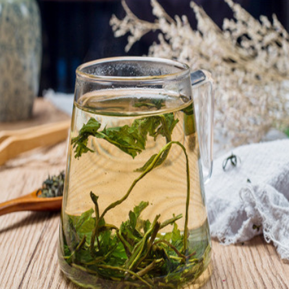 产地供应蒲公英茶批发蒲公英茶图2