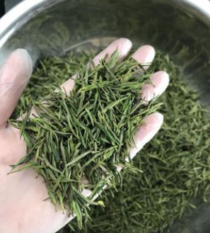 白茶批发 2019新茶散装绿茶 500茶农直销 农副产品安吉茶农直销图3
