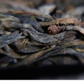 头春高端精品 镇店之宝生茶 七子饼茶叶 云南普洱茶批发357g图3
