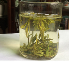 批发茶叶 龙井茶 高山雨前绿茶 散装新茶 生产厂家直销 源头工厂图2