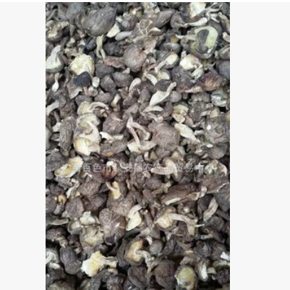 香菇椴木香菇野生香菇食用菌香菇大山里半野生香菇图2