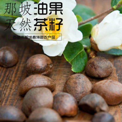 那坡县山茶油果 品质优良 质量保证 批发