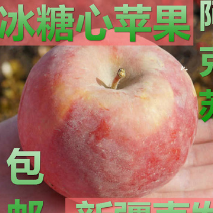 正宗新疆阿克苏冰糖心苹果 红富士当季水果散装水果批发一件代发