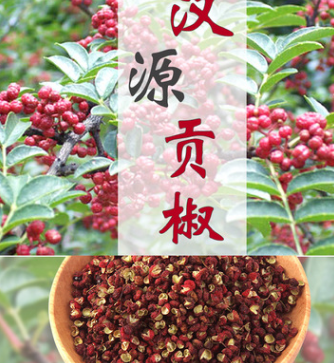 汉源贡椒 香味浓郁 香料麻椒火锅底料 花椒产地 批发图2