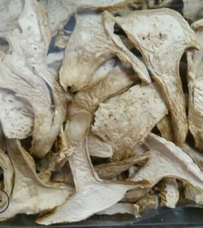 野生菌青杆菌 西藏小松茸干货批发 松茸 青冈菌图2