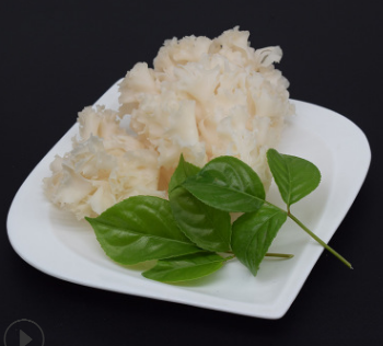 新鲜绣球菌 云南产地食用菌 酒店食用特色绣球菌图3