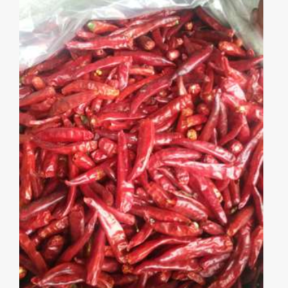 大量批发供应香辣型012辣整椒中粗细面餐饮美食专业配送图3