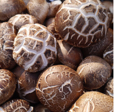 特产干香菇 冬菇碎片大片干货 散装食用菌批发500克