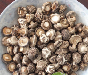特产干香菇 冬菇碎片大片干货 散装食用菌批发500克图2