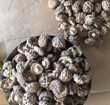 特产干香菇 冬菇碎片大片干货 散装食用菌批发500克图3
