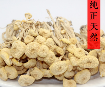 江西广昌特产正宗江西白茶树菇非福建茶树菇新货茶薪菇微商代发图2