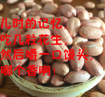 2018新花生米手剥农家自产榨油粉红皮生装杂粮散零食干花生仁50斤图2