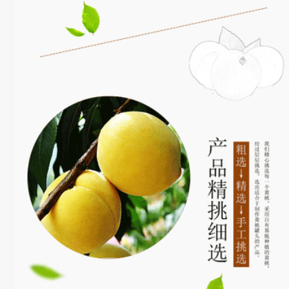 新高新鲜水果罐头425g糖水黄桃罐头 食品罐头厂家贴牌代发图3