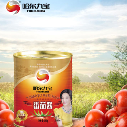 哈尔九宝番茄酱850g/桶新疆番茄酱罐头西红柿膏