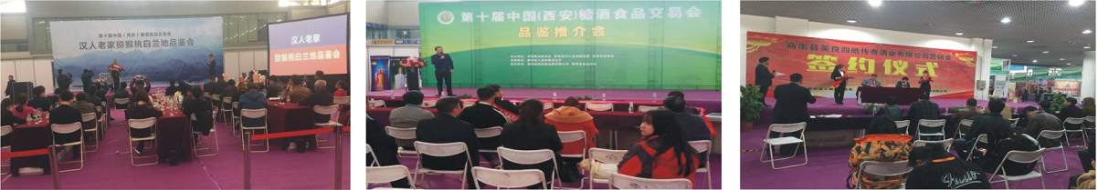 2019会期活动