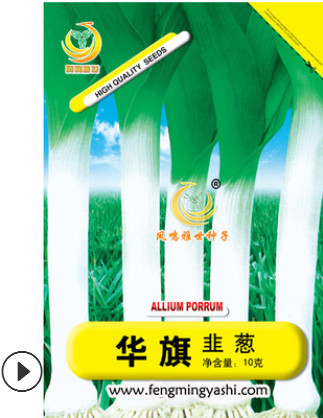 美国花旗韭葱种子 海蒜种子蒜苗 小菜园大面积用种 洋葱苗高产图1