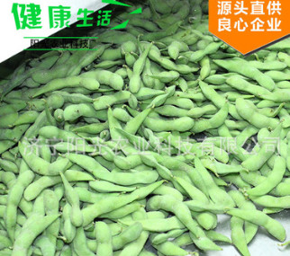 阳光农业专业代加工毛豆荚速冻毛豆荚100%正品一吨起批 举报图2