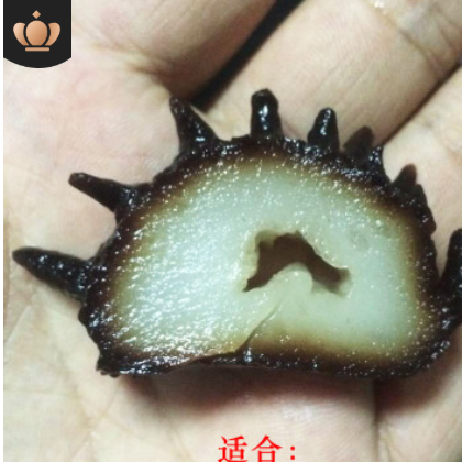 素海参素刺参北海仿真仿荤素食切片冷盘火锅日本料理海鲜自助图2