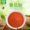 番茄粉 脱水番茄粉 西红柿粉调料 1000克 热风干燥