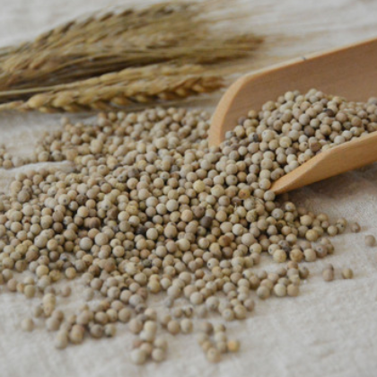 海南白胡椒胡椒粒500g 胡椒粉 调味品 香料大全批发图3