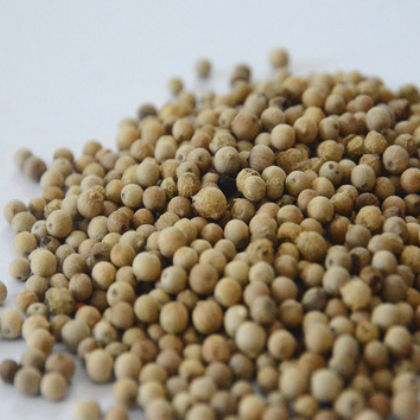 海南白胡椒胡椒粒500g 胡椒粉 调味品 香料大全批发图2