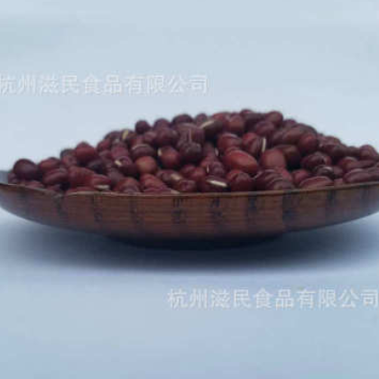 熟红豆 生红豆 红豆粉系列 批发相思红豆 高品质红豆 OEM代加工