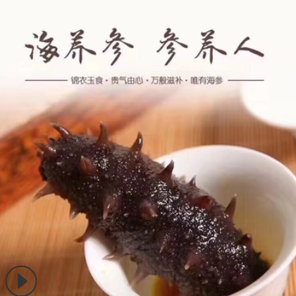 即食大连参刺好肉厚品相好图3