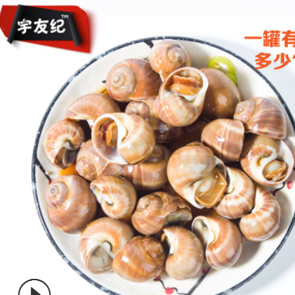 【大罐】麻辣钉螺 香螺 花螺400g 麻辣小海鲜 即食罐装 一件代发图2