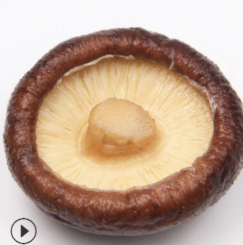 产地直销量大优惠2-3cm庆元西峡 食用菌 冬菇鲜香肉厚香菇干货图2